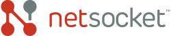 Netsocket logo